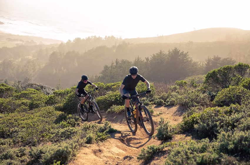  XL Low-Profile Bike Helmets for Big Heads (No Mushroom Look)